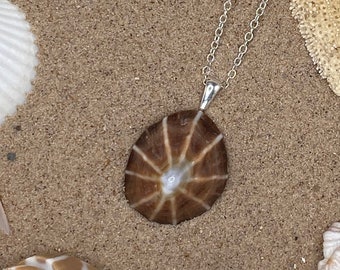 Common Limpet Seashell Pendant Necklace