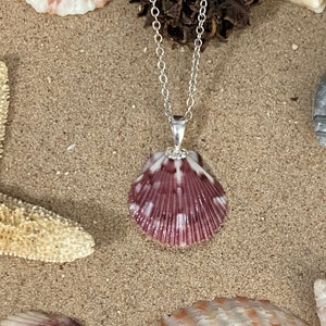 Scallop Seashell Pendant Necklace