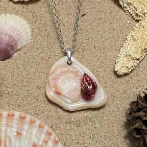 Seashell Pendant Necklace