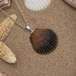 Scallop Seashell Pendant Necklace