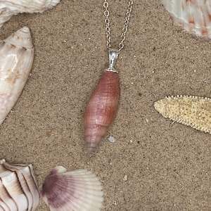 Pink Seashell Pendant Necklace: Sterling Silver Miter Shell