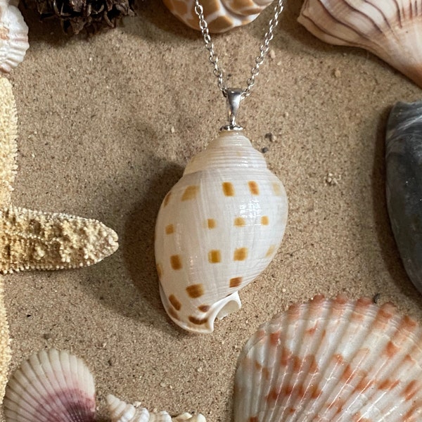 Scotch Bonnet Seashell Pendant Necklace