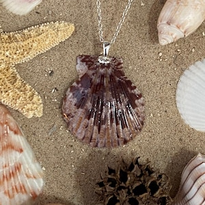 Scallop Seashell Pendant Necklace