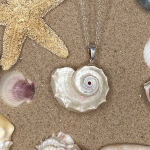 Ursula 2025 conch necklace