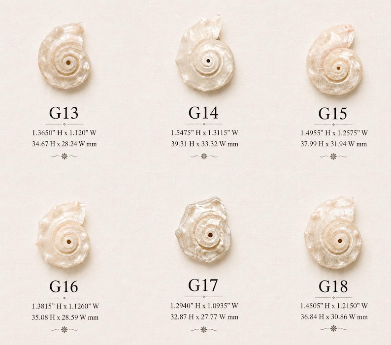 May include: Six off-white, pearlescent, spiral-shaped shell pendants labeled G13 through G18. Each piece features a central hole and specific dimensions ranging from 1.2940" to 1.5475" in height and 1.0935" to 1.3115" in width, listed below each item.