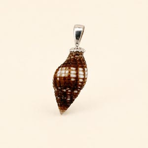 May include: A pendant featuring a small, spiraled seashell with a dark brown and white chequered pattern. The shell is capped with a polished silver-toned metal bail at the top, designed for attachment to a necklace chain or cord for jewellery wear.