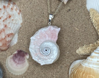 Pearl Delphinula Seashell Pendant Necklace in Sterling Silver