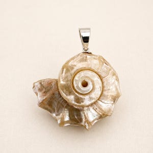 Delphinula Shell Necklace, One of a Kind Ocean Pendant, Pearly Spiral Shell Jewelry, Coastal Statement Piece, Mermaid Inspired Gift