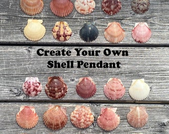 Scallop Seashells
