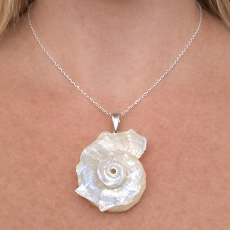 May include: A necklace featuring a polished, iridescent white seashell pendant suspended from a delicate silver-toned chain. The spiral shell exhibits a natural pearlescent sheen with visible ridges and a central opening, attached to the chain by a simple metal bail.