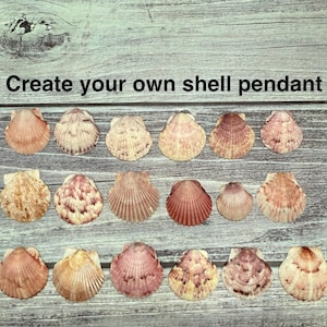 Resin Coated Scallop Seashell: DIY Pendant Supplies