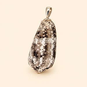 Fly Speckled Olive Cone Shell Necklace • Coastal Luxe Seashell Pendant