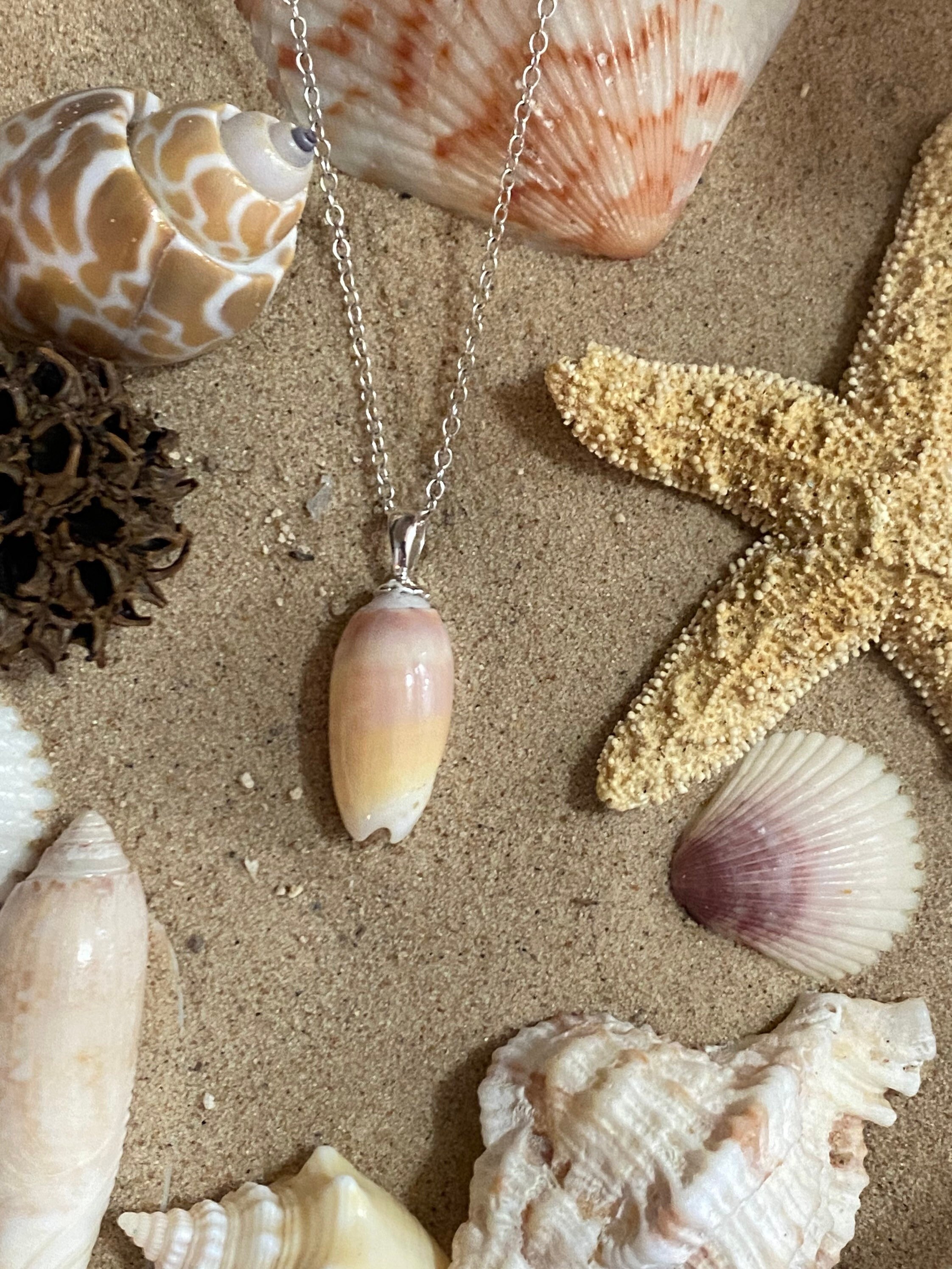 Carnelian Olive Seashell Pendant Necklace Etsy