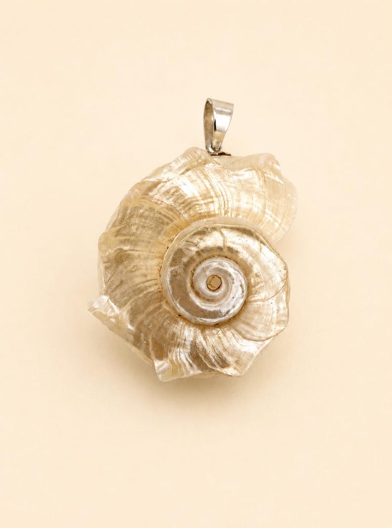 May include: A pendant featuring a natural, spiraled seashell with a pearlescent, off-white finish. The shell has a textured, ribbed surface and a central whorl. A polished silver-toned metal bail is attached to the top for hanging the piece.