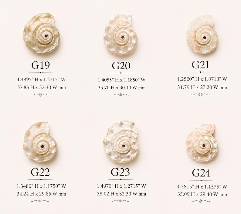 May include: Six off-white, iridescent shell pendants labeled G19 through G24. Each piece features a spiral design with a central hole. Dimensions are provided in inches and millimeters, ranging from 1.2520" to 1.4970" in height and 1.0710" to 1.2715" in width.