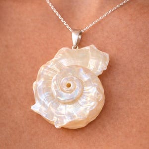 May include: A pendant featuring a polished, iridescent white seashell with a spiral design, suspended from a thin silver chain. The shell displays a natural pearlescent sheen with subtle ridges and a smooth, curved texture throughout its surface.