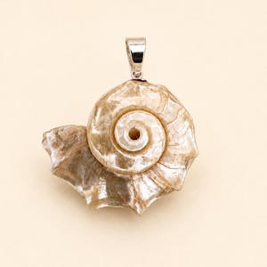 May include: A pendant featuring a natural, iridescent spiral seashell with a pearlescent finish, attached to a polished silver-toned metal bail at the top. The shell displays organic, swirling textures in shades of cream, beige, and soft brown.