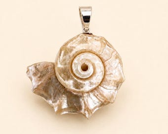 Pearl Delphinula Seashell Pendant Necklace in Sterling Silver