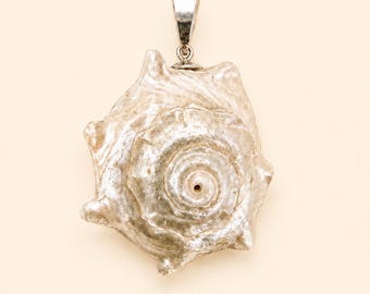 Spurred Turban Seashell Pendant Necklace in Argentium Sterling Silver
