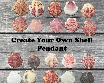 Scallop Seashells