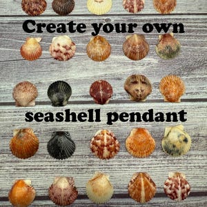 Resin Coated Scallop Seashell: DIY Pendant Supplies
