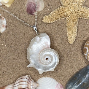 Pearl Delphinula Pendant Necklace in Sterling Silver