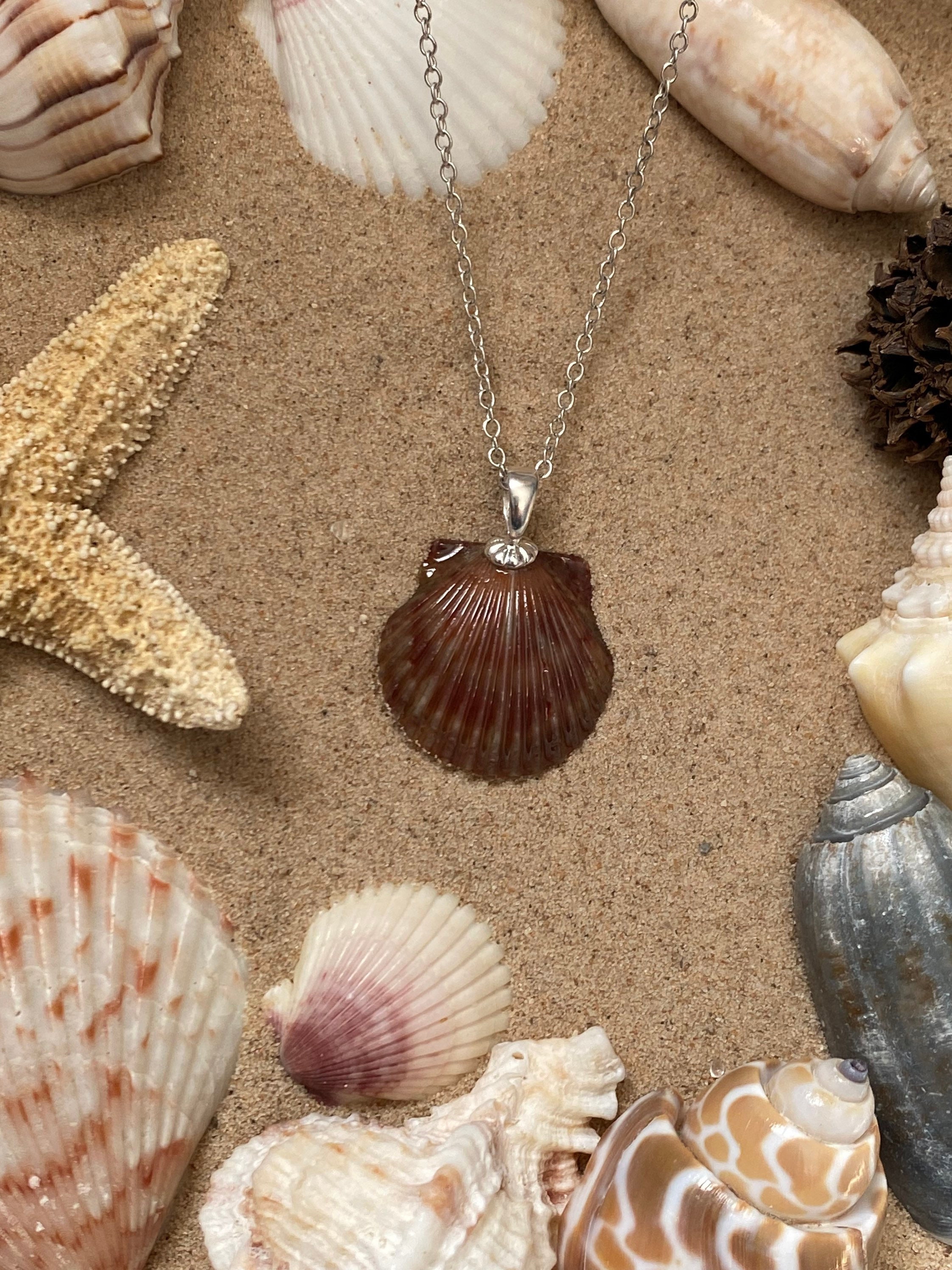 Scallop shell pendant deals