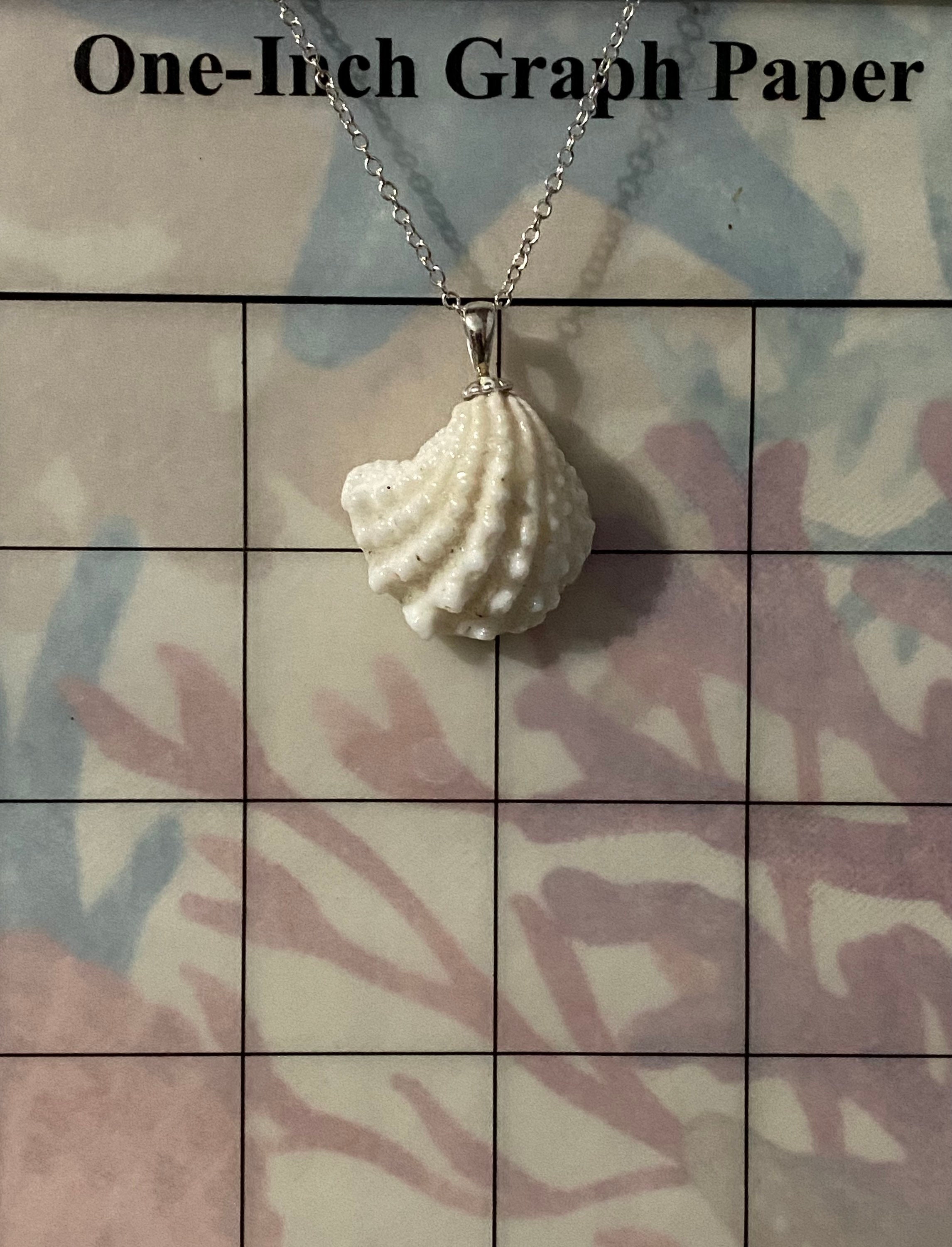 Spiny Jewel Box Seashell Pendant Necklace Etsy