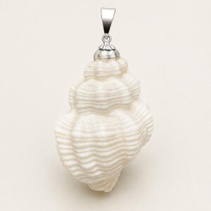 May include: A white seashell pendant with a silver-colored bail. The pendant is a detailed replica of a conch shell, featuring textured ridges and a natural, organic shape. The bail is a simple, rectangular loop.