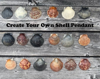 Scallop Seashells