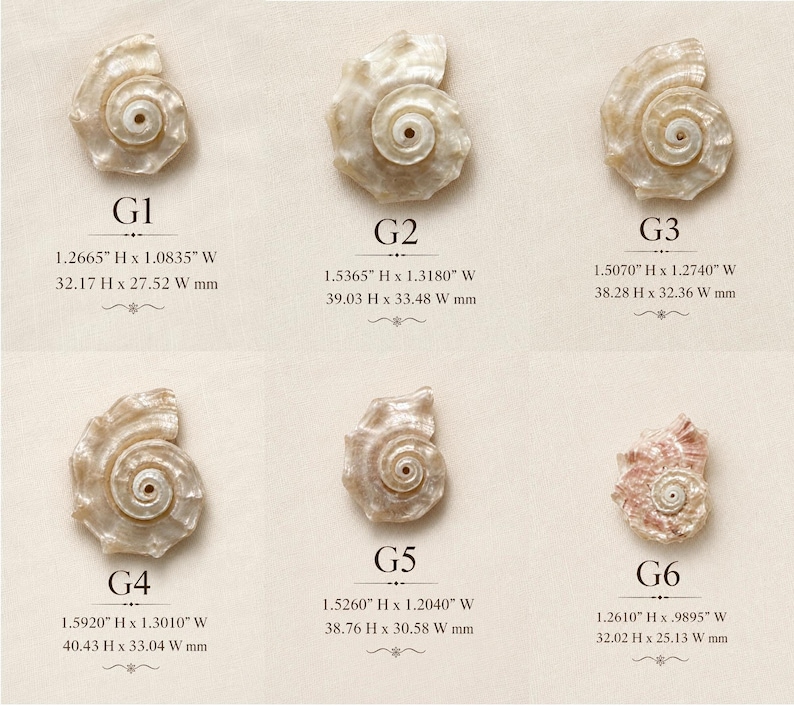 May include: Six iridescent shell pendants labeled G1 through G6. G1 is 1.2665" H x 1.0835" W, G2 is 1.5365" H x 1.3180" W, G3 is 1.5070" H x 1.2740" W, G4 is 1.5920" H x 1.3010" W, G5 is 1.5260" H x 1.2040" W, and G6 is 1.2610" H x .9895" W.