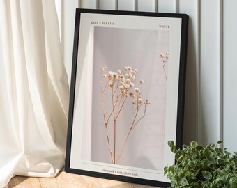 Small Flower Wildlflower Baby’s Breath Poster, Floral Nigella Wall Art, Botanical Art Printing, Flower Lover Gift