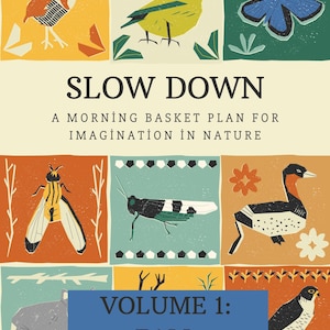 May include: A colorful illustration with the text "Slow Down: A Morning Basket Plan for Imagination in Nature, Volume 1: Fall". The illustration features various animals and insects, including a bird, a butterfly, a grasshopper, a fly, a duck, and a hawk.
