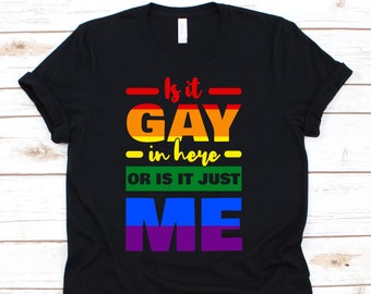 Is It Gay In Here Or Is It Just Me, Lesbian Shirt, LGBT Shirt, Bi Pride Shirt, Bisexual Pride Shirt, Transgender Shirt, Pride Month