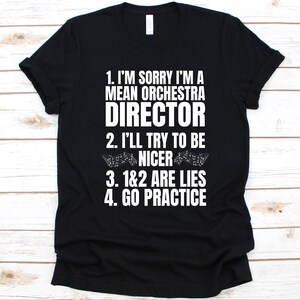 1. I&#39;m Sorry I&#39;m A Mean Orchestra Director Shirt, Gift For Conductors, Music Director, Chief Conductor, Maestro Shirt, Orchestral Conductor