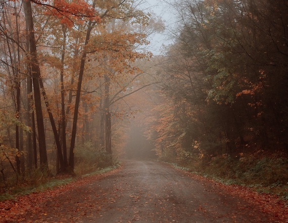 Fall Digital Background - Etsy