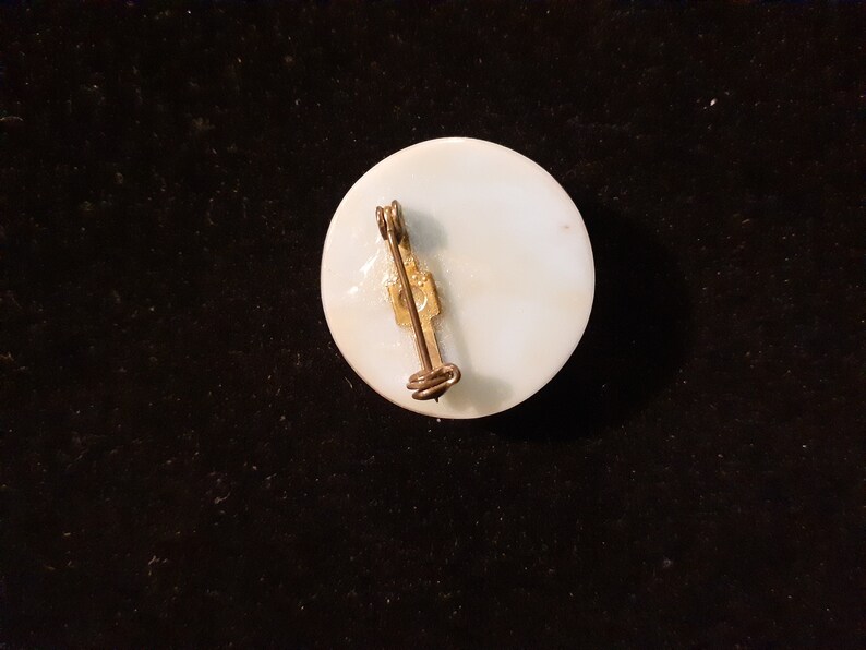 Vintage pressed flower brooch