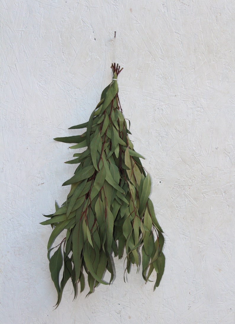 Dried Eucalyptus 1/2 Shower Bundle Bath Bouquet Organic Etsy