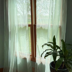 May include: Sheer, light green curtains frame a wooden window, with a view of a tree and field. A potted plant with dark green leaves sits on a small, black table in front of the window. The curtains are slightly translucent.