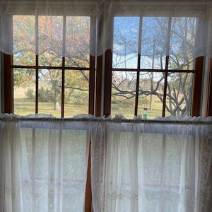 May include: A window with white lace curtains and a view of trees outside. The curtains are sheer and have a scalloped edge. The trees are bare and the sky is blue.