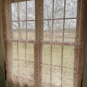 90’s Vintage lace single panel curtain: slightly apricot colored netted lace floral and flourish panel 58x80