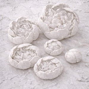 Peut inclure: Six objets décoratifs blancs en forme de pivoine, de tailles variées. Le plus grand est en haut, le plus petit en bas à droite. Ils sont disposés sur une surface texturée gris clair. Les objets ressemblent à des têtes de fleurs.