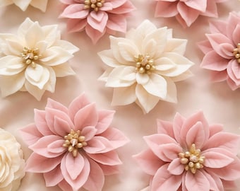 May include: Overhead view of several poinsettia flowers in shades of pink and cream. Each flower has multiple layers of petals and a golden centre. The flowers are arranged on a soft, pink surface.