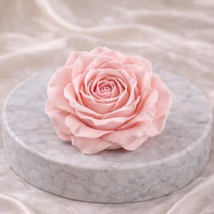 May include: A delicate, light pink rose in full bloom, centered on a round, marble-patterned platform. The rose's petals are soft and layered, with a tightly wound center. The platform sits on a draped, off-white fabric, creating a soft, elegant aesthetic.