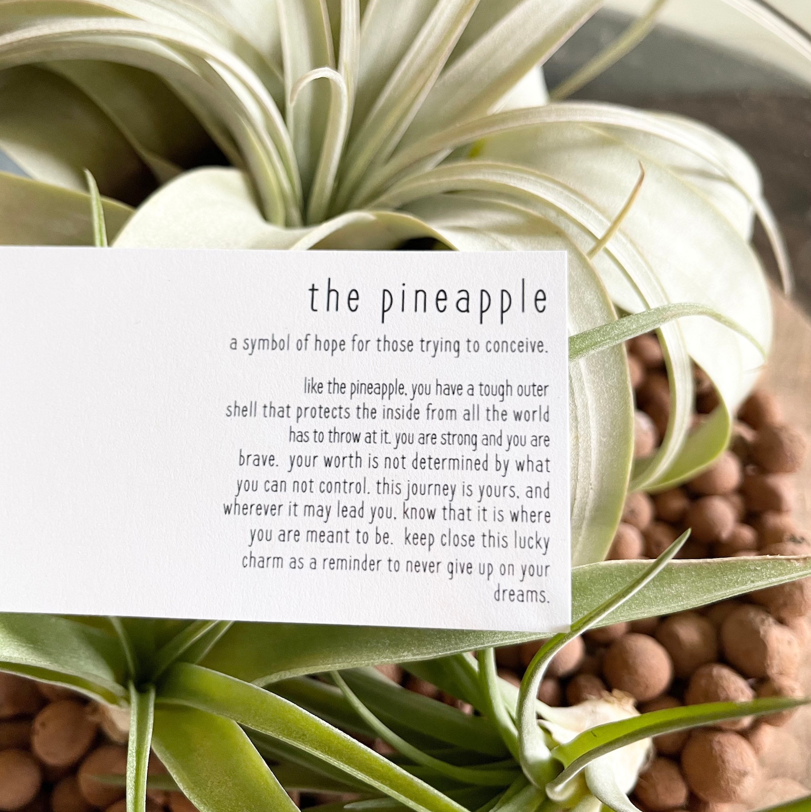 Infertility Pineapple Necklace Infertility Support Gift IVF Etsy