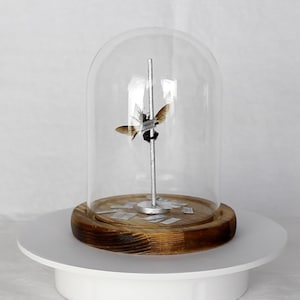 May include: A preserved butterfly specimen displayed under a clear glass cloche. The butterfly is mounted on a silver rod, set on a round wooden base. The base sits on a white pedestal, creating a unique decorative piece.