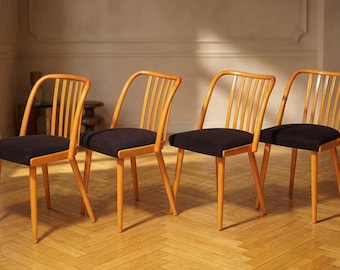 Dining Chairs, Mid Century, Wooden Frame, Antonín Šuman, 20th Century, Czechoslovakia, Set of 4
