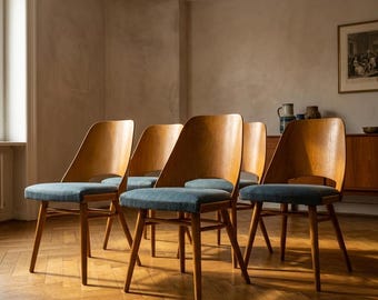 Dining Chairs Set, Mid-Century, Radomír Hofman, 1960s, Czechoslovakia