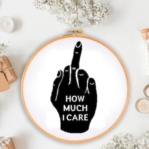 How Much I Care - funny quote cross stitch pattern PDF, snarky subversive cross stitch. Middle finger embroidery. Digital file PDF