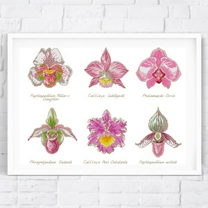 Set of Orchids - modern cross stitch pattern, counted xstitch chart, flower cross stitch, boho wall decor embroidery - instant download PDF